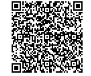 2017 QueensEKIDEN　kirokusokuhou